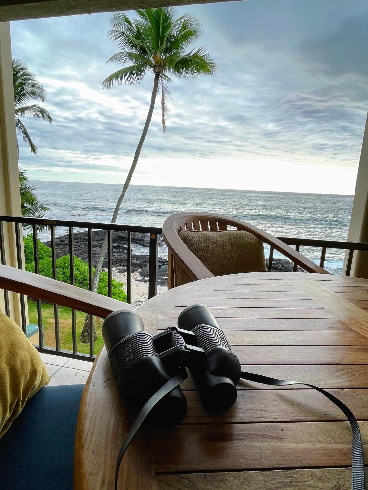 Apartment Stunning Ocean,beach Views & Unforgettable Sunsets *