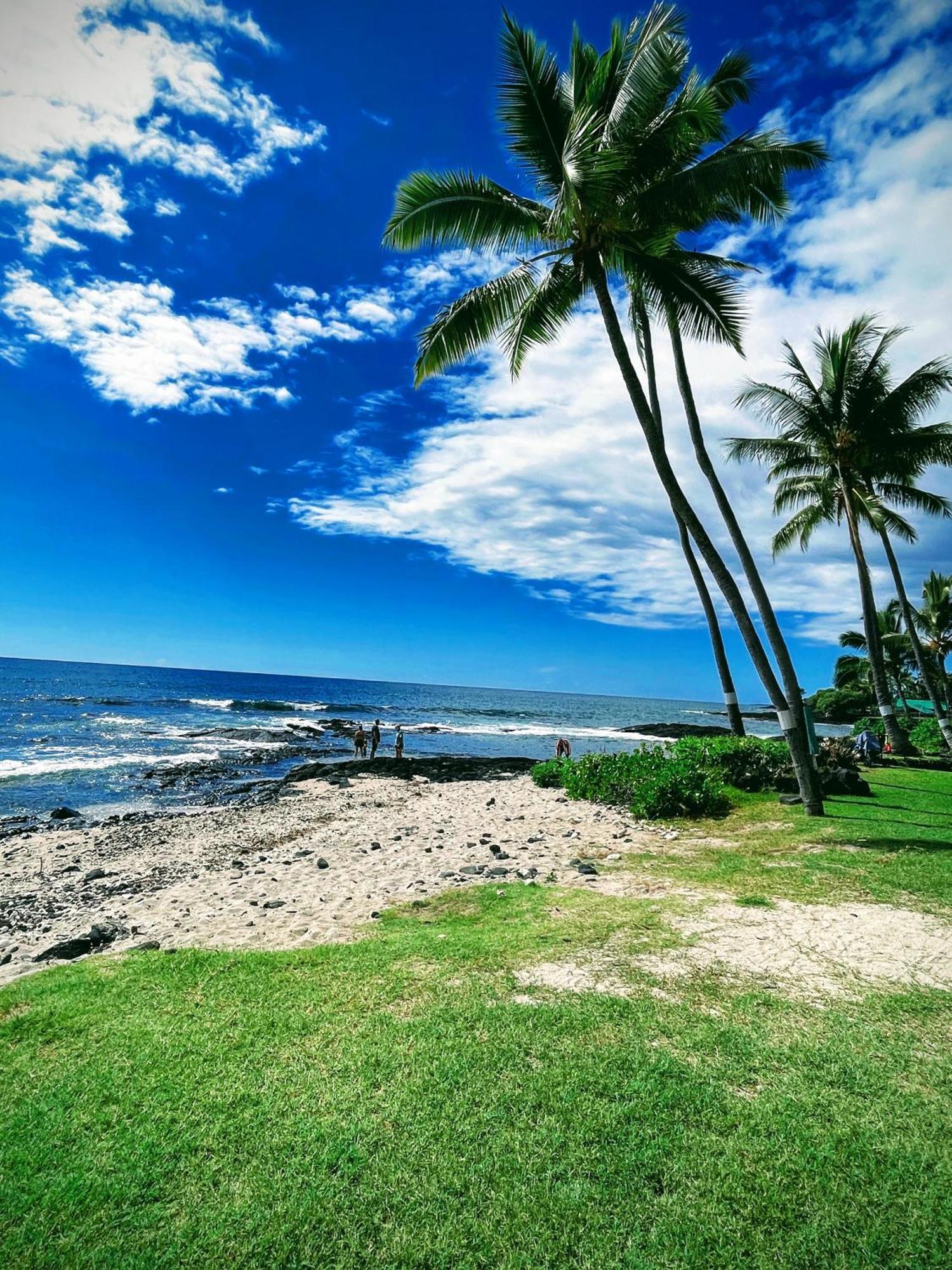 Apartment Stunning Ocean,beach Views & Unforgettable Sunsets *